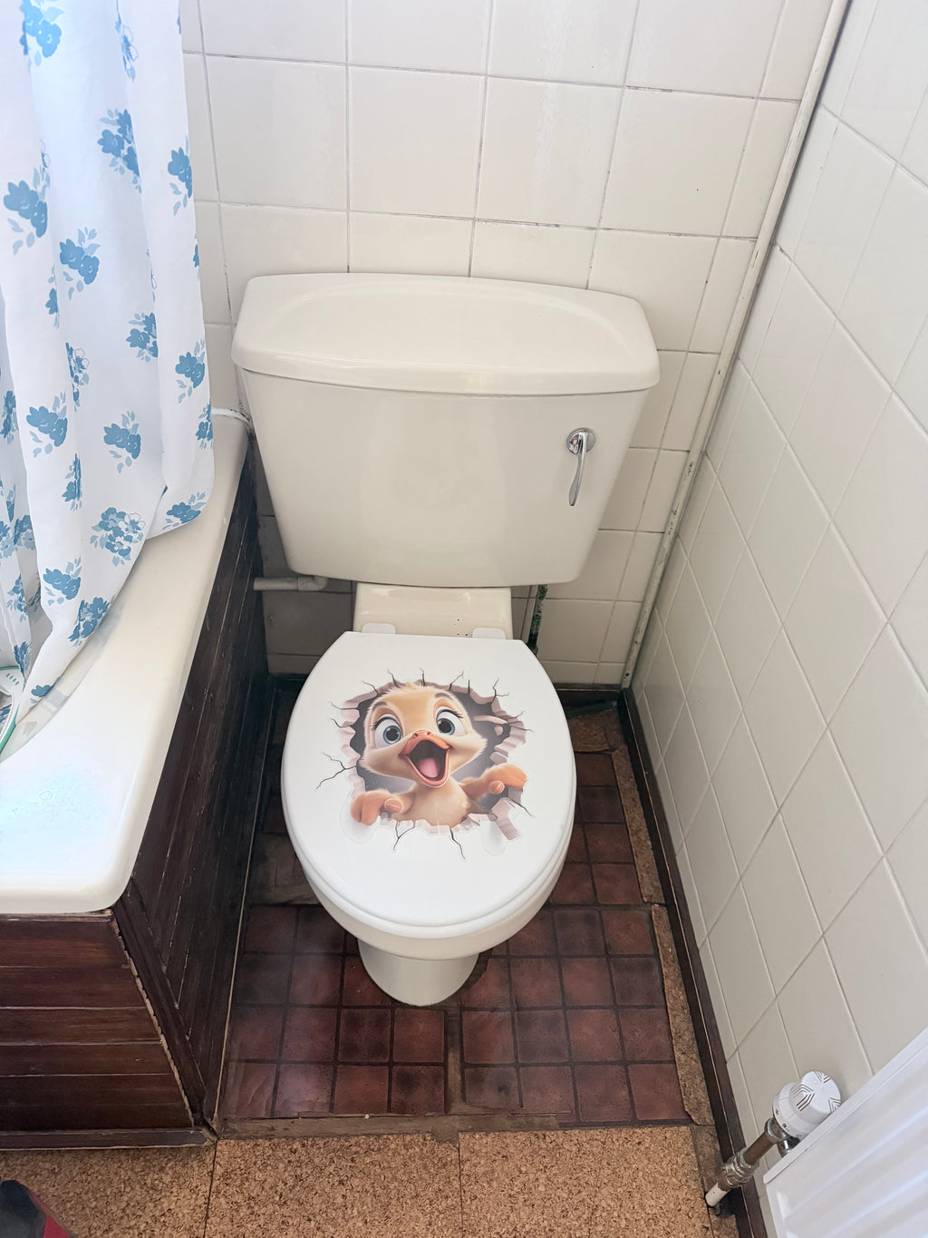 Bathroom Repairs & Installations